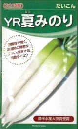 画像: [大根] ＹＲ夏みのり 3Lペレット種子5000粒 カネコ種苗（株）