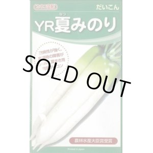 画像: [大根]　ＹＲ夏みのり　3Lコート5000粒　カネコ交配