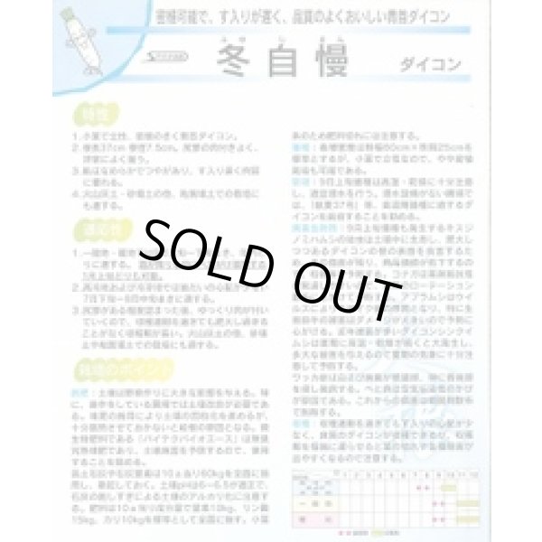 画像4: 送料無料 大根 冬自慢 20ml (株)サカタのタネ (4)