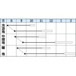 画像2: 大根　　冬どり聖護院    18ml   タキイ種苗（株）　DF (2)