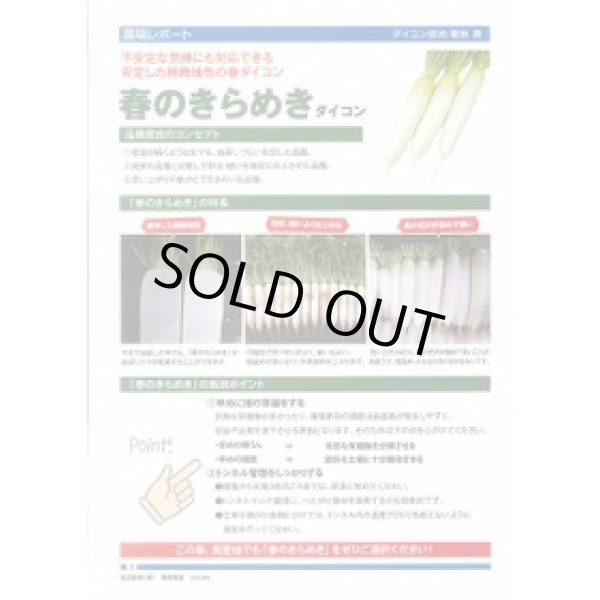 画像2: 送料無料　[大根]　春のきらめき　130粒　渡辺農事（株） (2)
