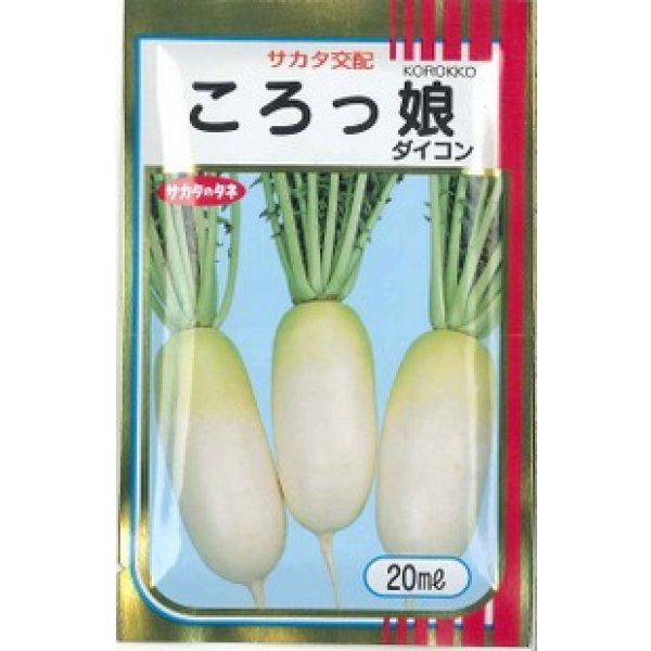 画像1: 送料無料　[大根]　ミニダイコン　ころっ娘　20ml　(株)サカタのタネ (1)