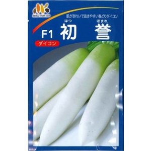 画像: 送料無料　大根　初誉　500粒　ヴィルモランみかど（株）