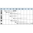 画像2: [大根]　ＹＲくらま　8ｍｌ　タキイ種苗（株）　DF　 (2)