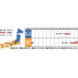 画像2: [大根]　紅化粧　約100粒　サカタ交配　実咲 (2)