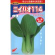 画像1: 送料無料　[中国野菜]　ニイハオ114　750粒　渡辺農事 (1)