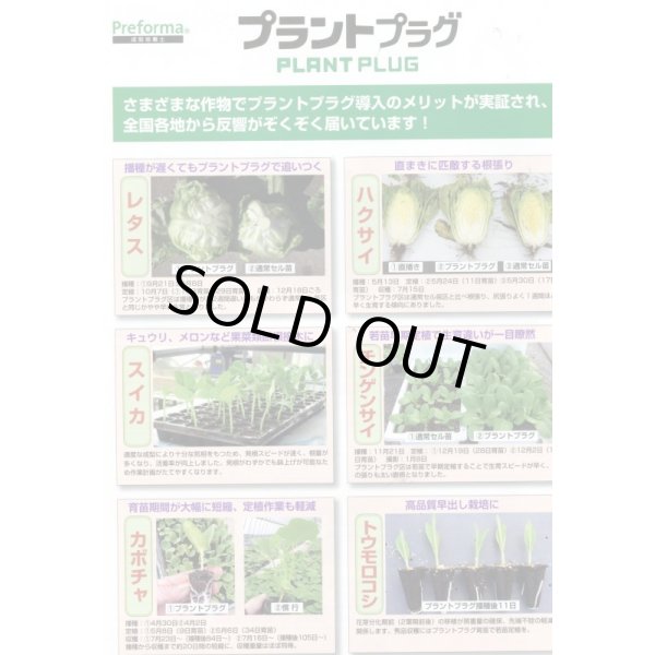 画像5: 接木・生産資材　プラントプラグ　406穴　Jiffy (5)