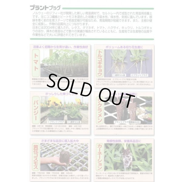 画像6: 接木・生産資材　プラントプラグ　406穴　Jiffy (6)