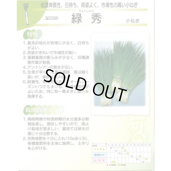 画像4: 送料無料 [ねぎ] 緑秀 (小ねぎ) 1L （株）サカタのタネ (4)