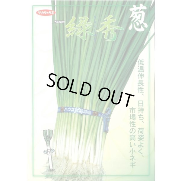 画像3: 送料無料 [ねぎ] 緑秀 (小ねぎ) 1L （株）サカタのタネ (3)