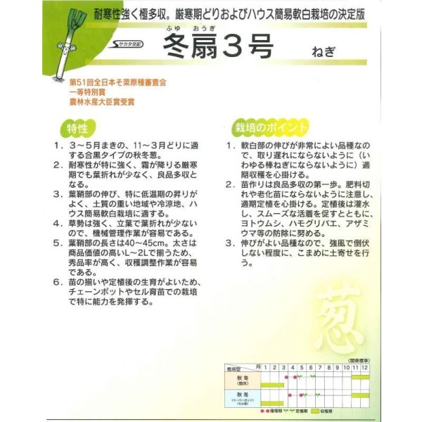 画像3: 送料無料 [ねぎ] 冬扇3号 20ml (裸種子) (株)サカタのタネ (3)