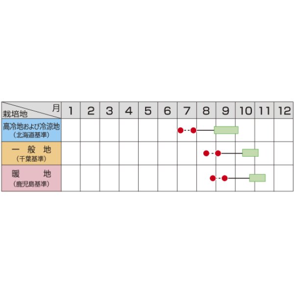 画像2: 送料無料　[大根]　夏の守　ペレット5000粒　(株)サカタのタネ (2)