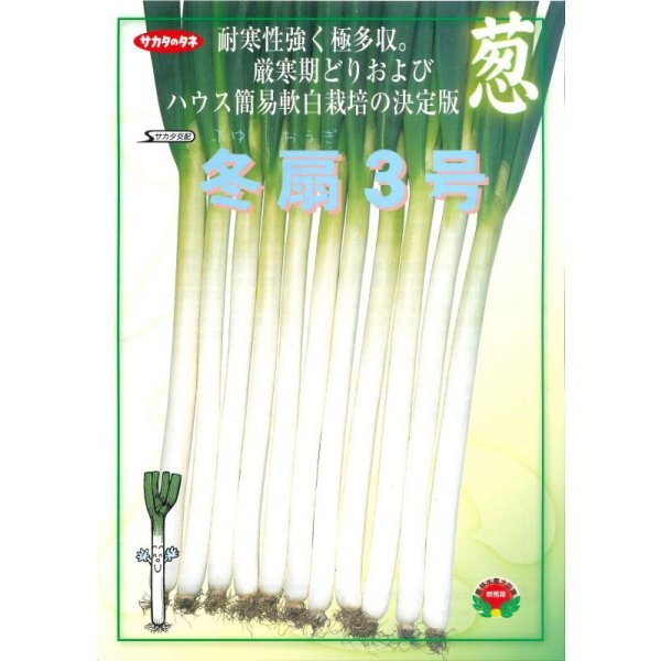 画像2: 送料無料　[ねぎ]　冬扇3号　20ml　(裸種子)　(株)サカタのタネ (2)