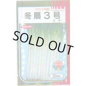 画像: 送料無料　[ねぎ]　冬扇3号　20ml　(裸種子)　(株)サカタのタネ