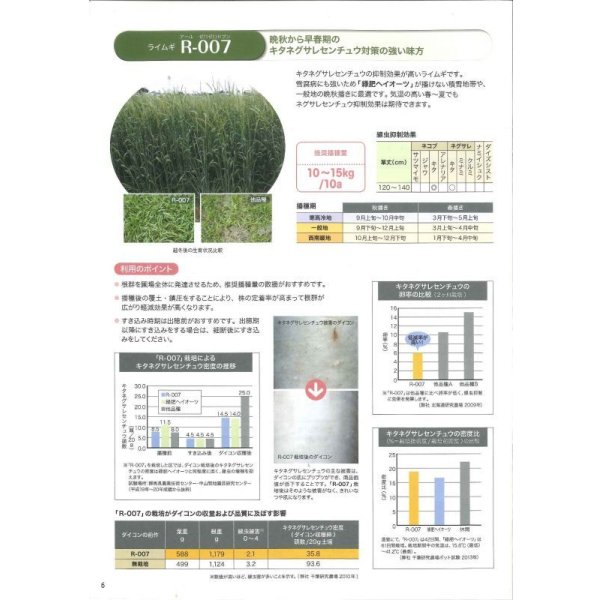 画像3: [緑肥]　ライ麦　R-007　1kg　雪印種苗(株) (3)