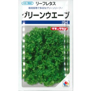 画像: 送料無料　[レタス]　リーフレタス　グリーンウェーブ　20ml　タキイ種苗(株)