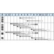 画像3: [シーダー種子]　にんじん　向陽二号　1粒×6cm間隔　 (3)