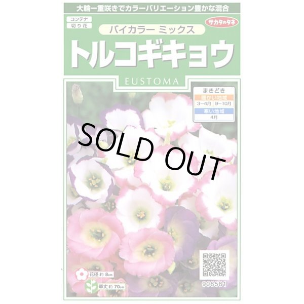 画像1: 送料無料　花の種　トルコギキョウ バイカラーミックス　約45粒　　(株)サカタのタネ　実咲250（026260） (1)