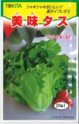 画像: 送料無料　[レタス]　美味タス　20ml(およそ7000粒)　トキタ種苗(株)