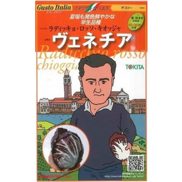 画像1: 送料無料　[イタリア野菜]　ヴェネチア　ラディッキョ・ロッソ・キオッジャ　80粒　トキタ種苗(株) (1)