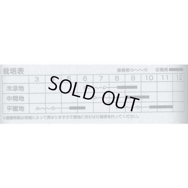 画像2: 春そば　1kg　カネコ種苗（株） (2)