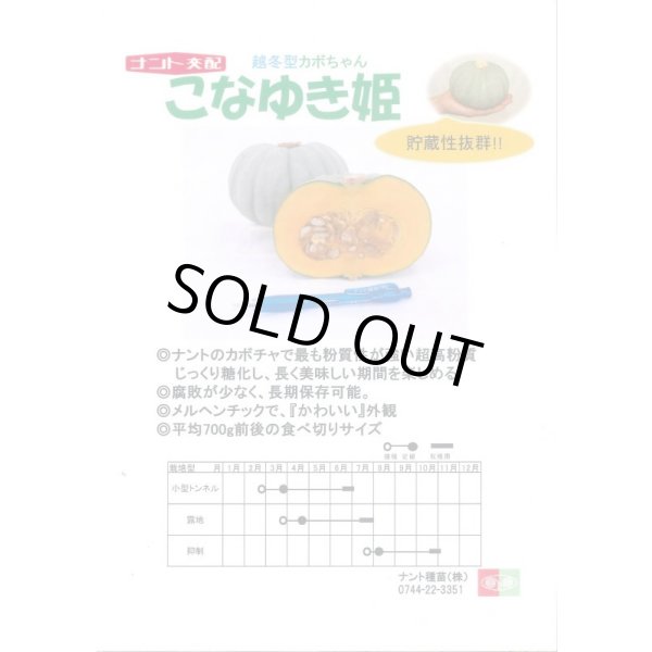 画像2: 送料無料　[かぼちゃ]　こなゆきひめ　6粒　ナント種苗(株) (2)