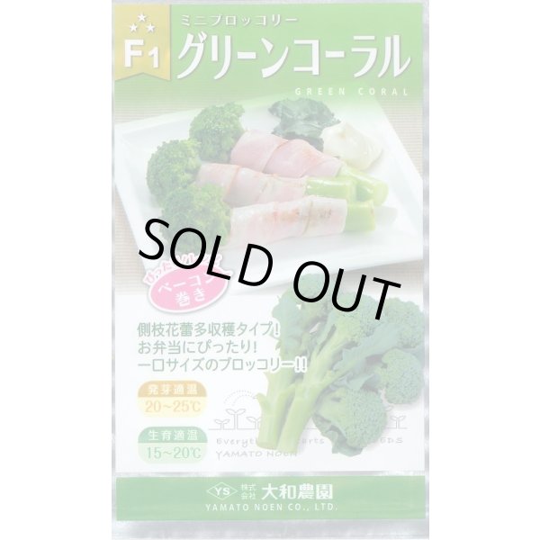 画像1: 送料無料　[ブロッコリー]　グリーンコーラル　2000粒　（株）大和農園 (1)
