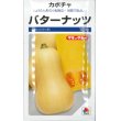 画像1: [かぼちゃ]　バターナッツ　100粒　タキイ種苗（株） (1)
