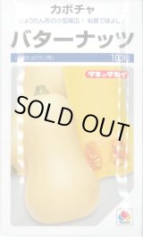 画像: 送料無料　[かぼちゃ]　バターナッツ　100粒　タキイ種苗(株)