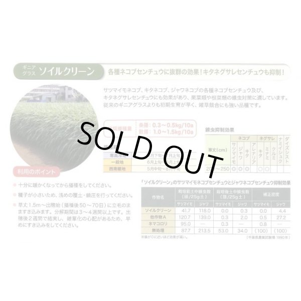 画像5: [緑肥]　ソイルクリーン　1kg　雪印種苗(株) (5)