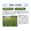 画像3: [緑肥]　田助　1kg　（根粒菌別売り）雪印種苗（株） (3)