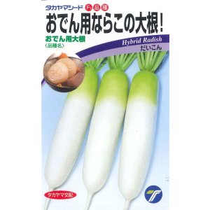 画像: 送料無料　[大根]　おでん用大根　4ml　(株)タカヤマシード