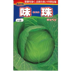 画像: [キャベツ]　味珠　130粒　渡辺交配