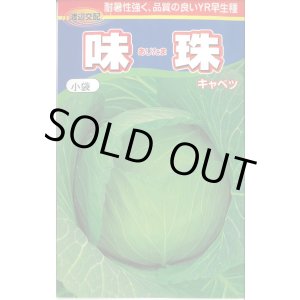 画像: [キャベツ] 味珠 130粒 渡辺農事（株）