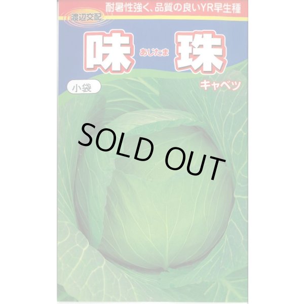 画像1: [キャベツ] 味珠 130粒 渡辺農事（株） (1)