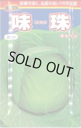 画像: [キャベツ] 味珠 20ｍｌ 渡辺農事（株）