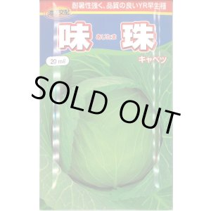 画像: [キャベツ] 味珠 20ｍｌ 渡辺農事（株）