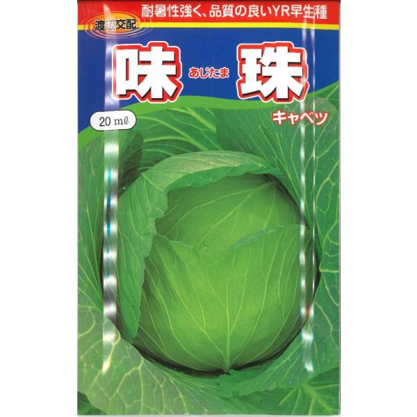 画像1: [キャベツ]　味珠　20ｍｌ　渡辺交配 (1)