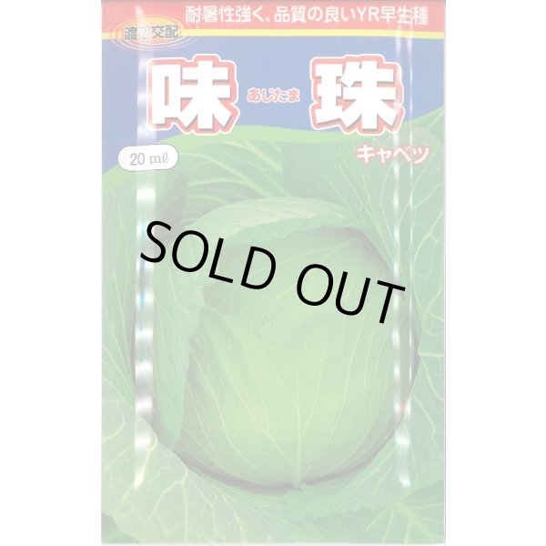 画像1: [キャベツ] 味珠 20ｍｌ 渡辺農事（株） (1)