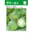 画像2: [レタス]　サマーガイ　　ペレット5000粒　タキイ種苗（株） (2)