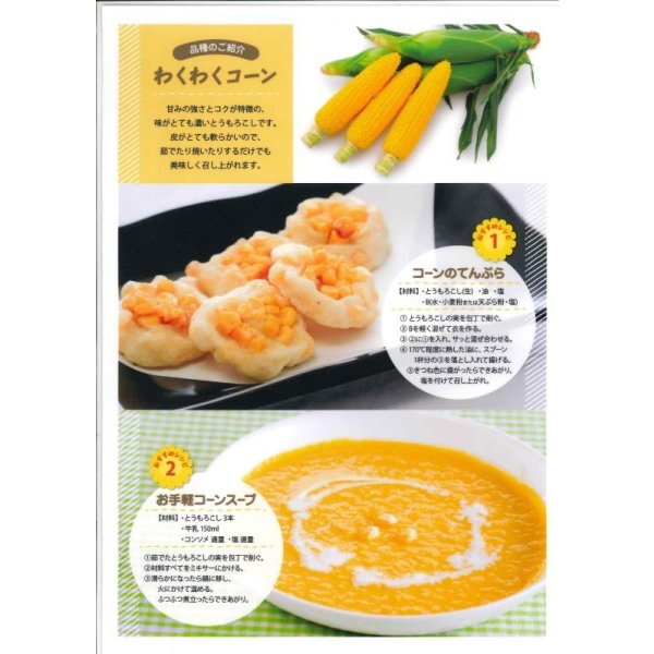 画像4: 送料無料　[とうもろこし]　わくわくコーン82　100粒　カネコ種苗（株） (4)