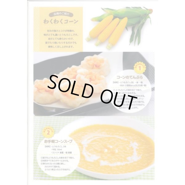 画像4: 送料無料　[とうもろこし]　わくわくコーン82　100粒　カネコ種苗（株） (4)