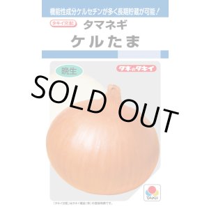 画像: 送料無料　[たまねぎ]　ケルたま　4.5ml　(約390粒)タキイ種苗(株)　DF