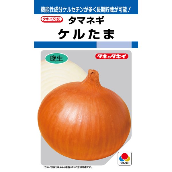画像1: 送料無料　[たまねぎ]　ケルたま　4.5ml　(約390粒)タキイ種苗(株)　DF (1)