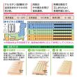 画像2: 送料無料　[たまねぎ]ケルたま2dl（ およそ27,800粒）タキイ種苗(株) (2)