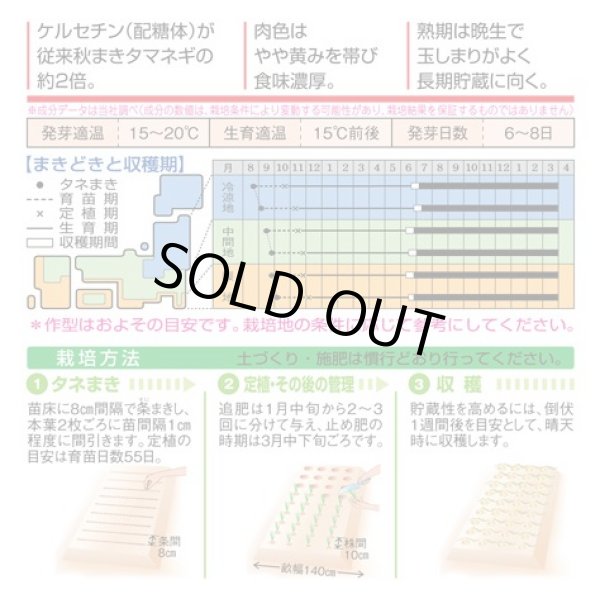 画像2: [たまねぎ]　ケルたま　4.5ml （約390粒）タキイ種苗（株）　DF　 (2)