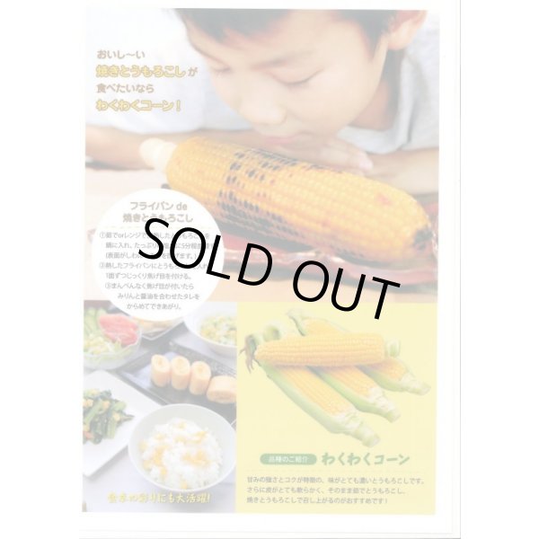 画像5: 送料無料　[とうもろこし]　わくわくコーン82　100粒　カネコ種苗（株） (5)