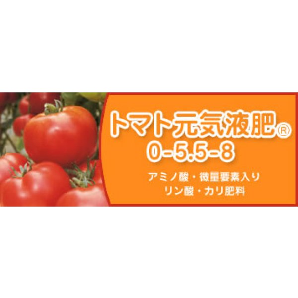 画像3: 肥料　リン酸・カリ肥料　トマト元気液肥　タキイ種苗 (3)