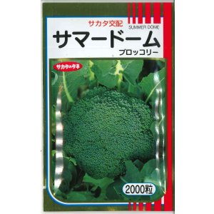 画像: 送料無料　[ブロッコリー]　サマードーム　2000粒　(株)サカタのタネ
