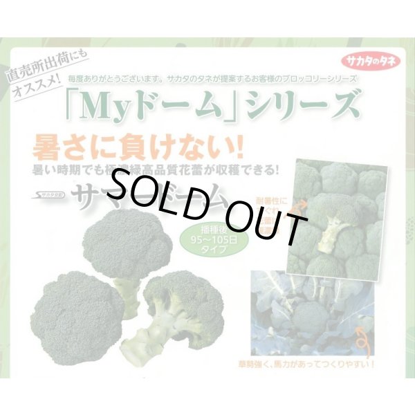 画像4: 送料無料　[ブロッコリー]　サマードーム　ペレット125粒　(株)サカタのタネ　実咲550（003175） (4)
